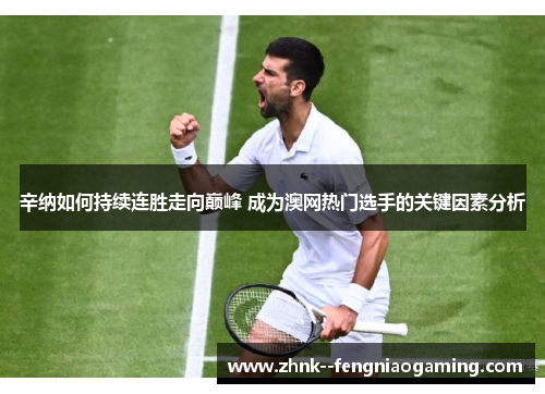 辛纳如何持续连胜走向巅峰 成为澳网热门选手的关键因素分析 辛纳如何持续连胜走向巅峰 成为澳网热门选手的关键因素分析