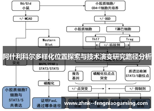 阿什利科尔多样化位置探索与技术演变研究路径分析