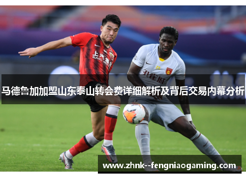 马德鲁加加盟山东泰山转会费详细解析及背后交易内幕分析